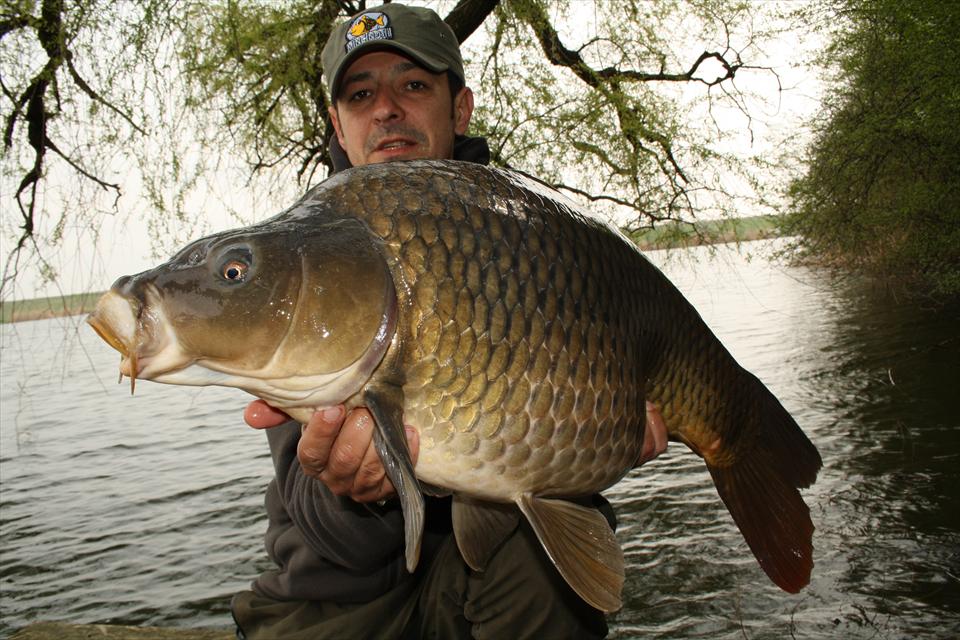 Cum scoatem crapul din agăţătură